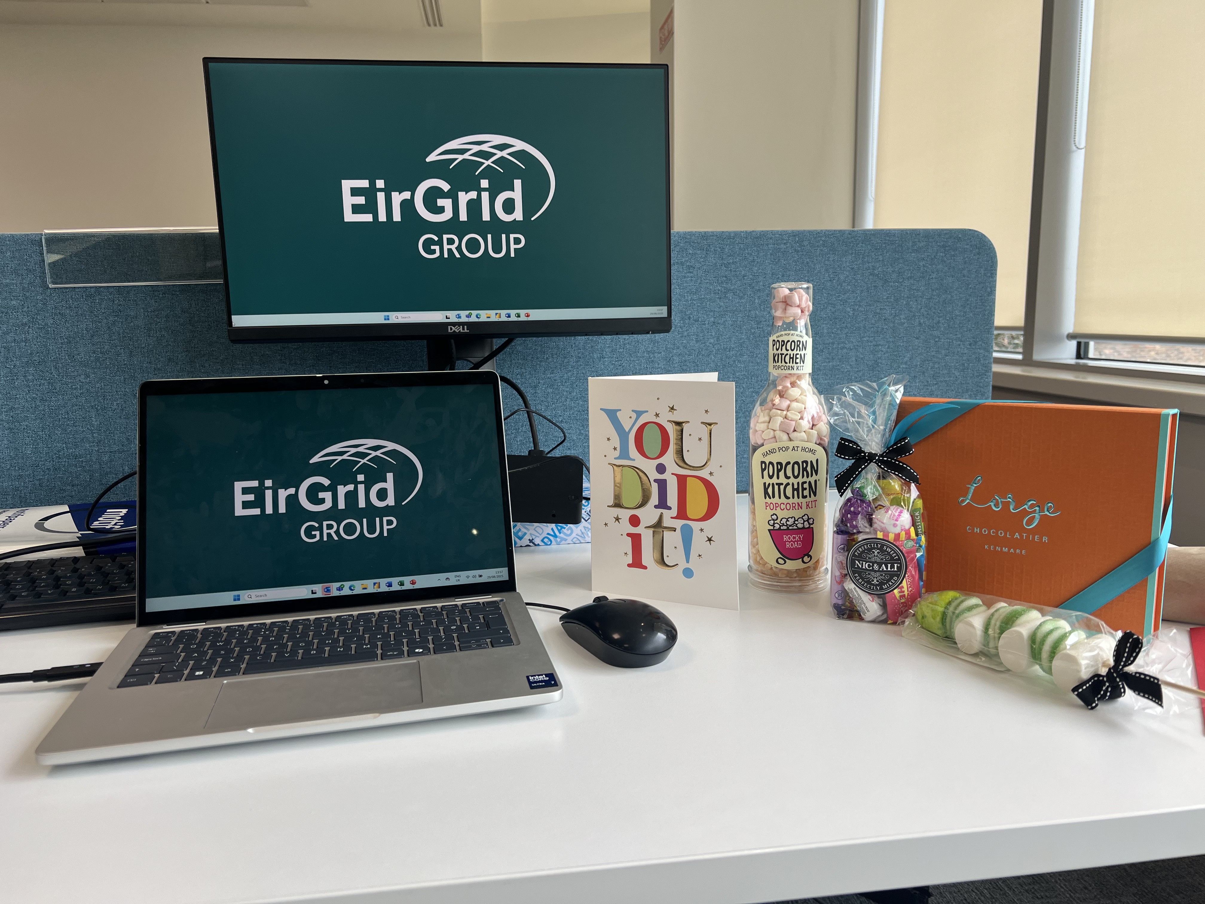 Jeremy during the EirGrid engineering internship